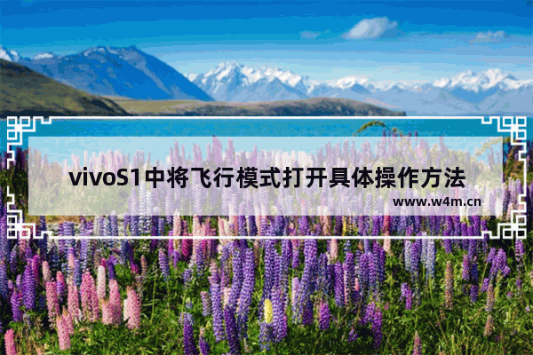 vivoS1中将飞行模式打开具体操作方法