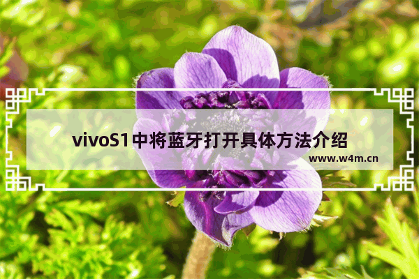 vivoS1中将蓝牙打开具体方法介绍