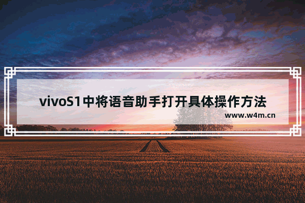 vivoS1中将语音助手打开具体操作方法