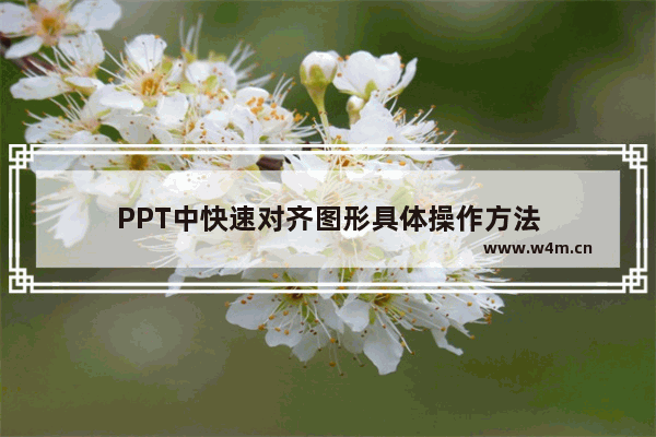 PPT中快速对齐图形具体操作方法