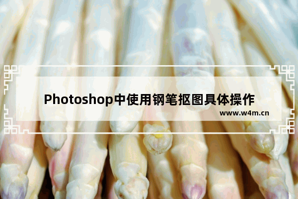 Photoshop中使用钢笔抠图具体操作方法