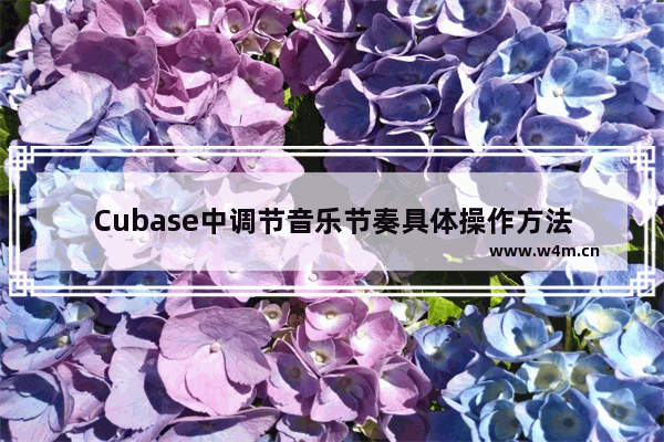 Cubase中调节音乐节奏具体操作方法