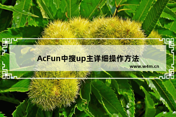 AcFun中搜up主详细操作方法