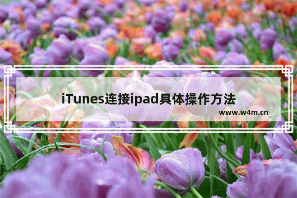 iTunes连接ipad具体操作方法