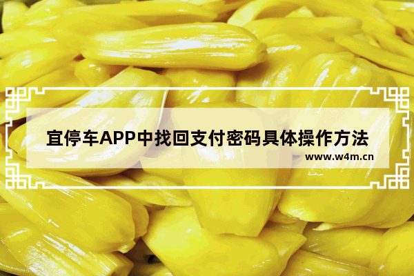 宜停车APP中找回支付密码具体操作方法