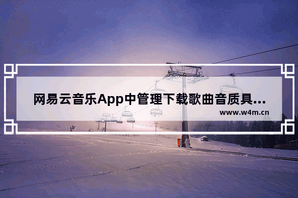 网易云音乐App中管理下载歌曲音质具体操作方法