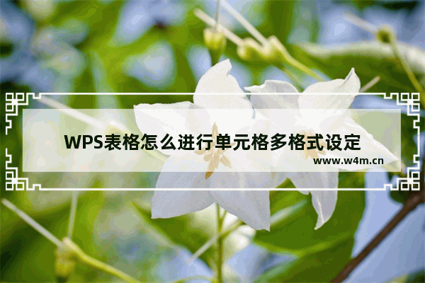 WPS表格怎么进行单元格多格式设定