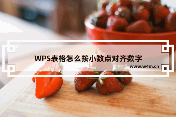 WPS表格怎么按小数点对齐数字