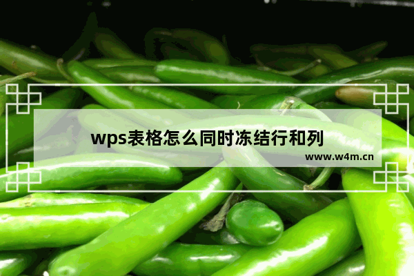 wps表格怎么同时冻结行和列