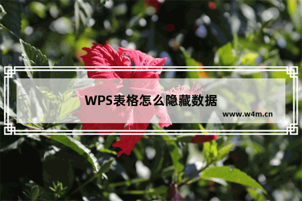 WPS表格怎么隐藏数据