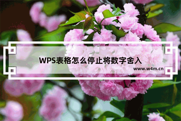 WPS表格怎么停止将数字舍入