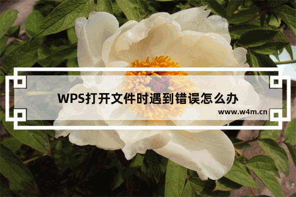 WPS打开文件时遇到错误怎么办