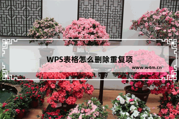 WPS表格怎么删除重复项