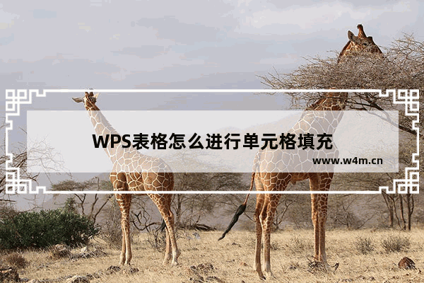 WPS表格怎么进行单元格填充