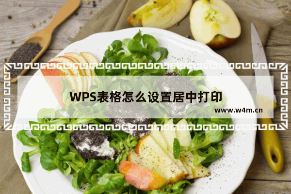 WPS表格怎么设置居中打印