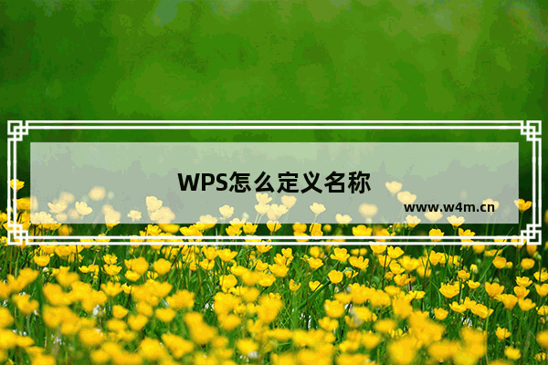 WPS怎么定义名称