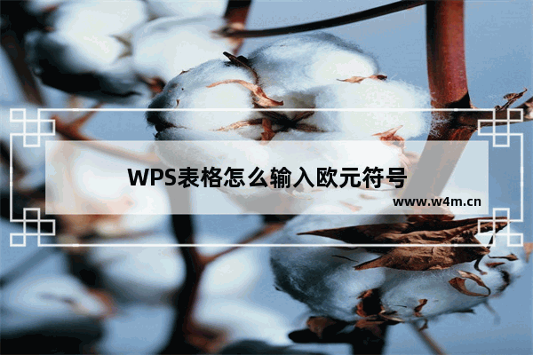 WPS表格怎么输入欧元符号