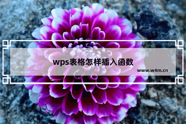 wps表格怎样插入函数