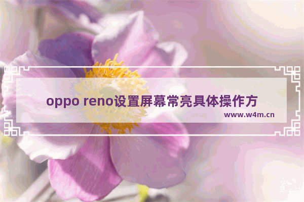 oppo reno设置屏幕常亮具体操作方法