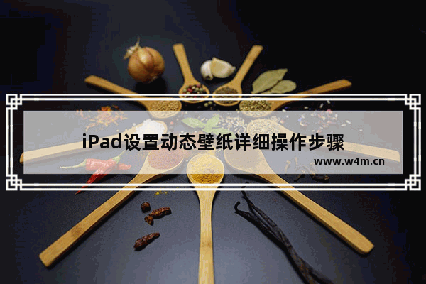 iPad设置动态壁纸详细操作步骤