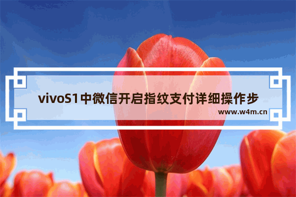 vivoS1中微信开启指纹支付详细操作步骤