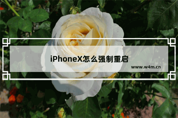 iPhoneX怎么强制重启