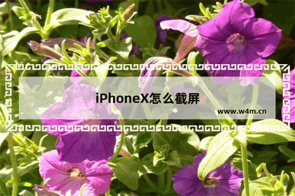 iPhoneX怎么截屏