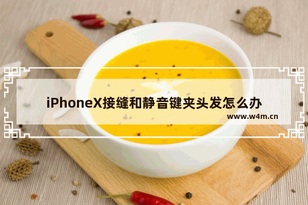 iPhoneX接缝和静音键夹头发怎么办