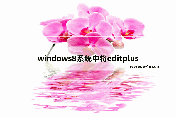 windows8系统中将editplus激活具体操作方法