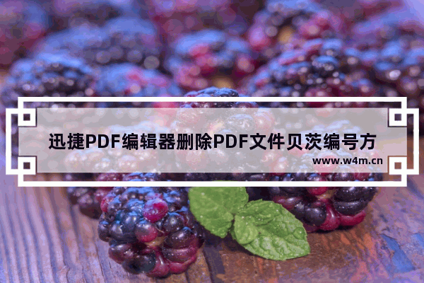 迅捷PDF编辑器删除PDF文件贝茨编号方法