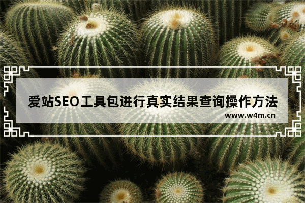 爱站SEO工具包进行真实结果查询操作方法