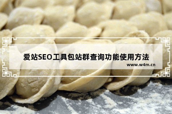 爱站SEO工具包站群查询功能使用方法