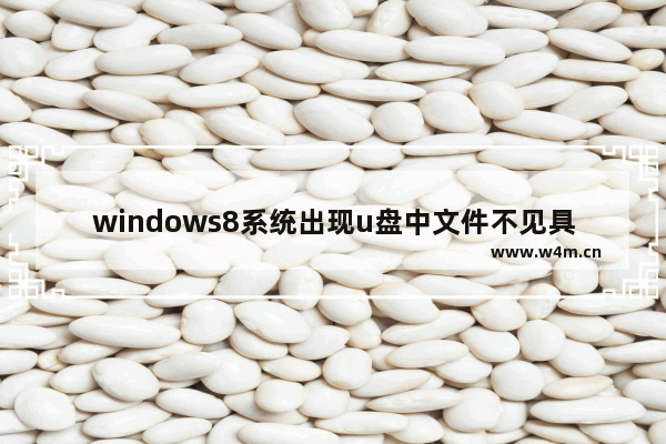 windows8系统出现u盘中文件不见具体处理步骤