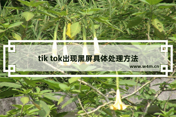 tik tok出现黑屏具体处理方法