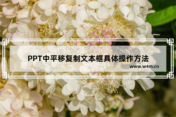 PPT中平移复制文本框具体操作方法