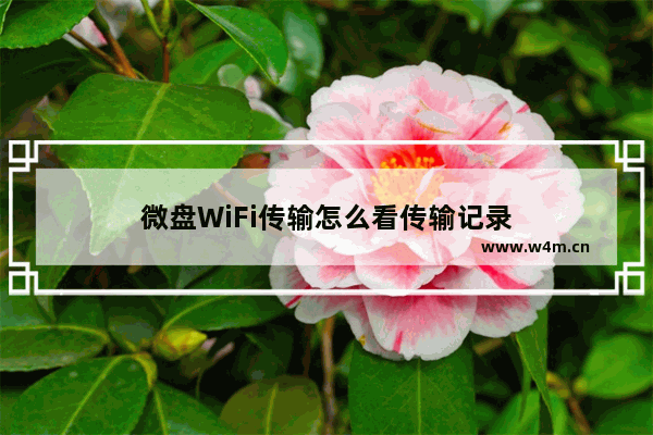 微盘WiFi传输怎么看传输记录