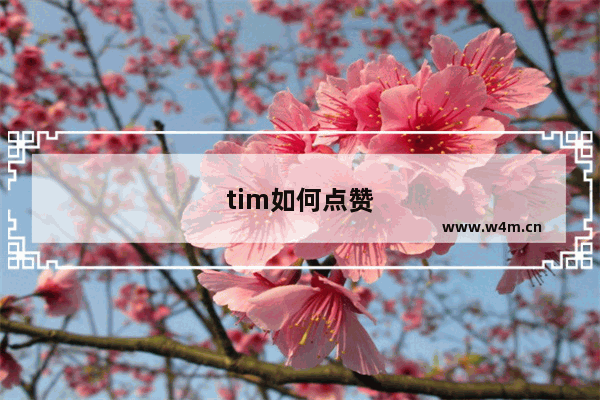 tim如何点赞