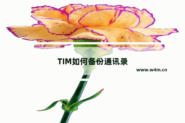 TIM如何备份通讯录