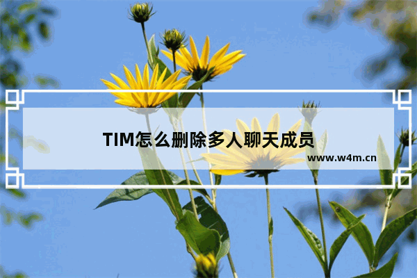 TIM怎么删除多人聊天成员