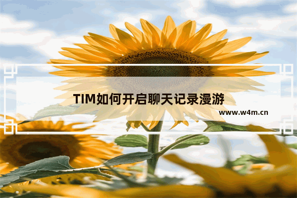 TIM如何开启聊天记录漫游