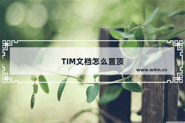 TIM文档怎么置顶