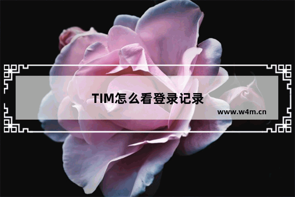 TIM怎么看登录记录