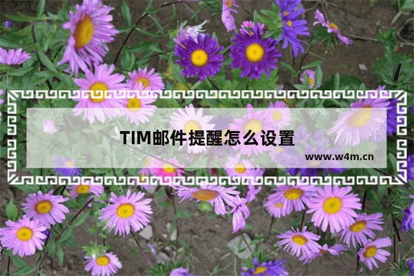 TIM邮件提醒怎么设置