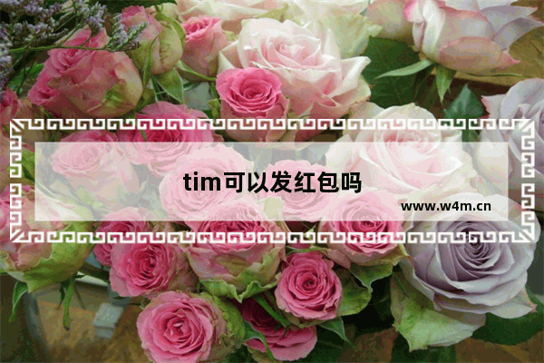 tim可以发红包吗