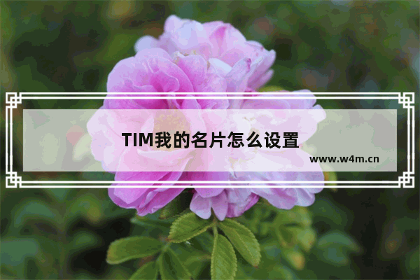 TIM我的名片怎么设置