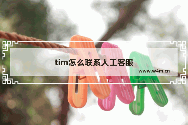 tim怎么联系人工客服