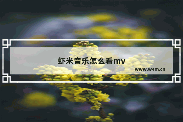 虾米音乐怎么看mv