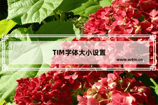 TIM字体大小设置