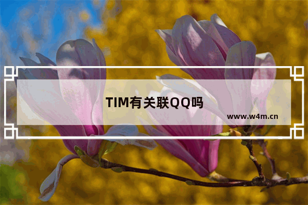 TIM有关联QQ吗