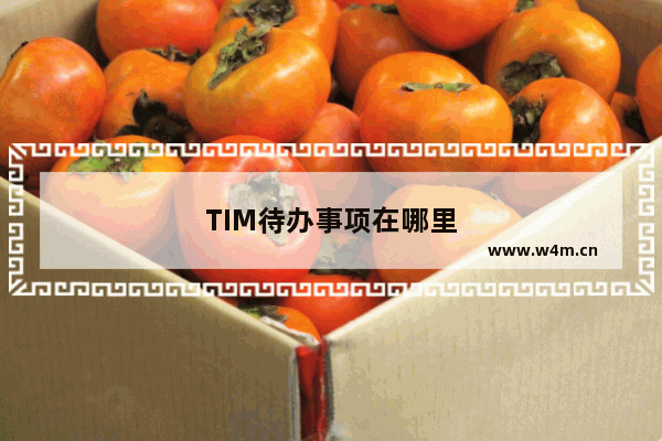 TIM待办事项在哪里